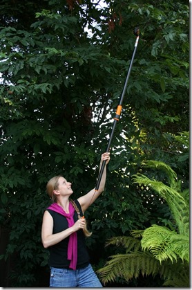 Fiskars Pruning Stik Tree Pruner (9234): Product Review